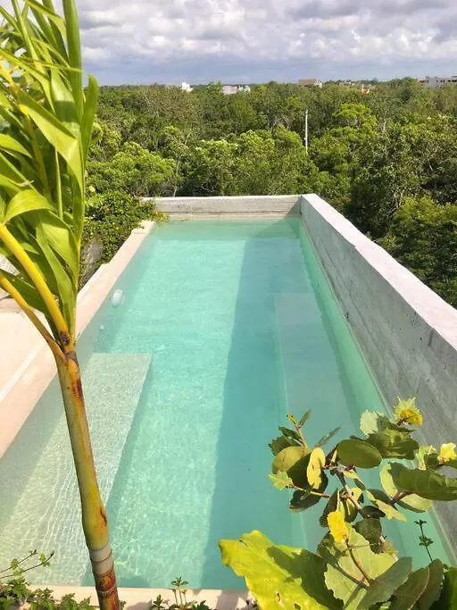 Ph Totally Private Pool & Rooftop @ La Veleta D8 Tulum Mexico